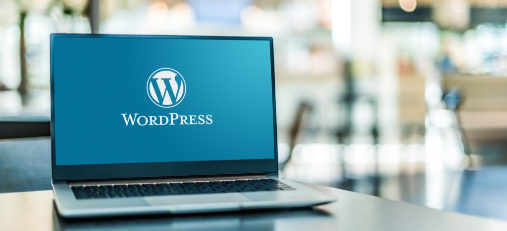 wordpress developer 1024x468 1 - Pakseos