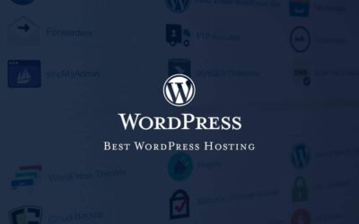 Best Hosting for WordPress Agencies