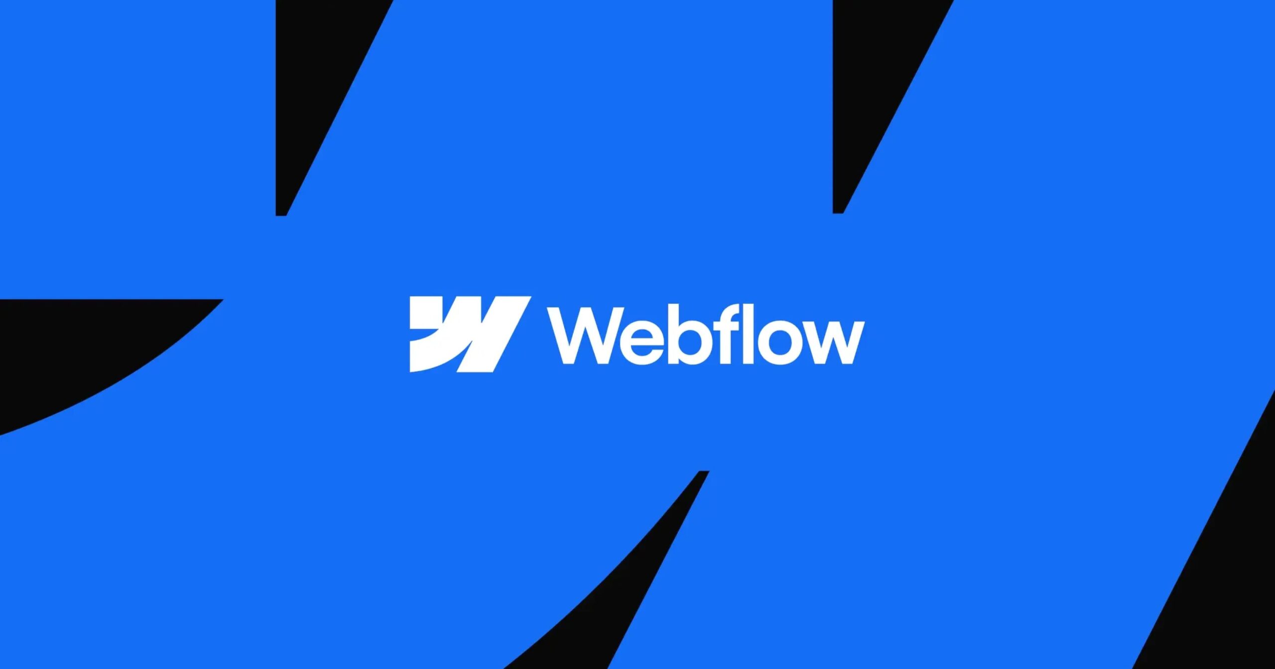 671104f618d4ceb263512015 6558d671f4d3d4dd56ee5d01 new webflow logo scaled - Pakseos Web Design Tool