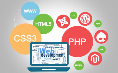 Best Web Design Tools for Beginners